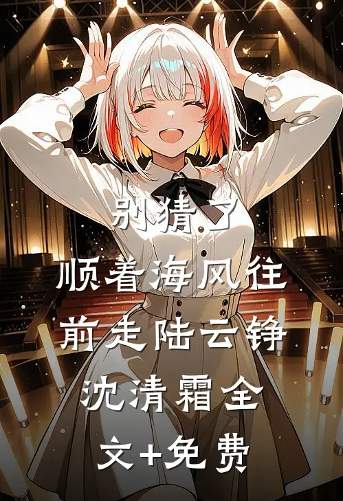 别猜了，顺着海风往前走陆云铮沈清霜全文+免费