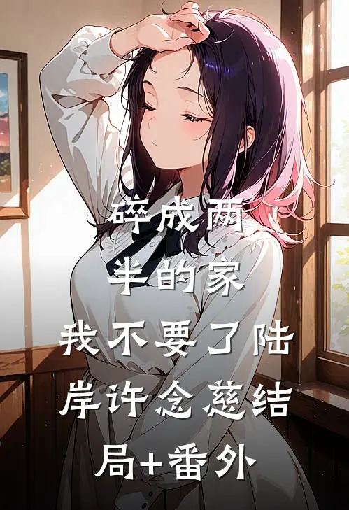 碎成两半的家，我不要了陆岸许念慈结局+番外