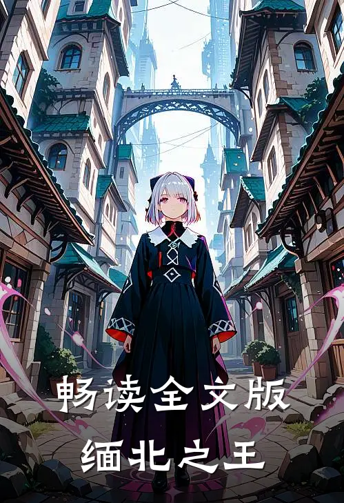 畅读全文版缅北之王