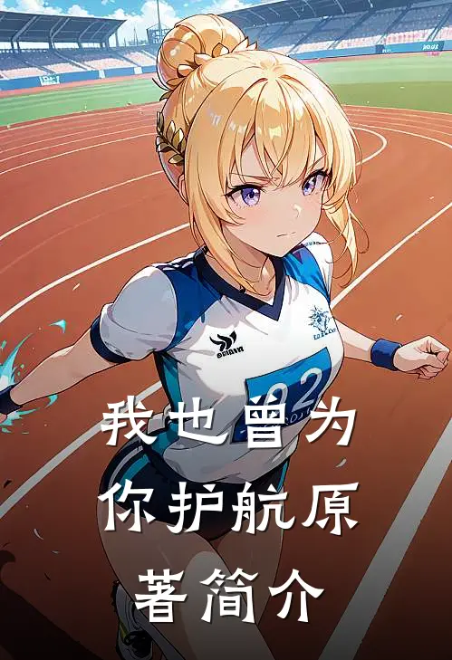 我也曾为你护航原著简介