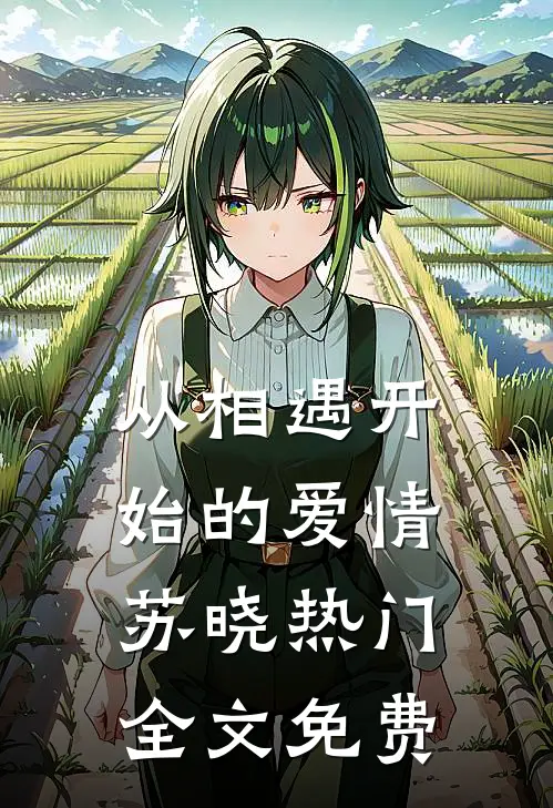 从相遇开始的爱情苏晓热门全文免费