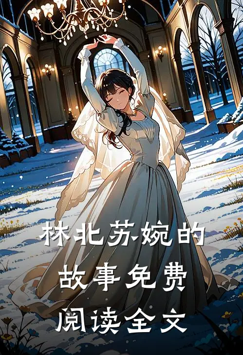 林北苏婉的故事免费阅读全文