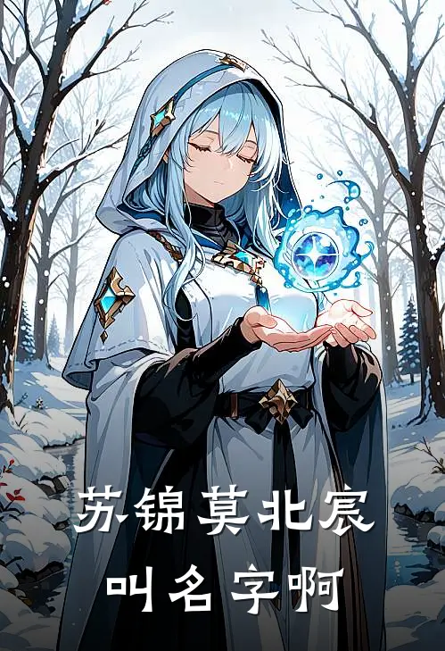 苏锦莫北宸叫名字啊