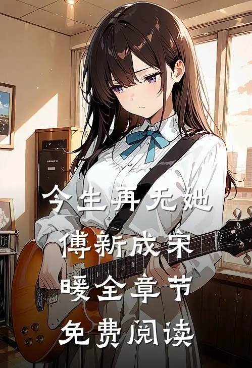 今生再无她傅新成宋暖全章节免费阅读