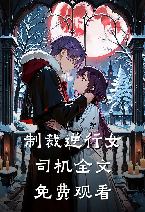 制裁逆行女司机全文免费观看