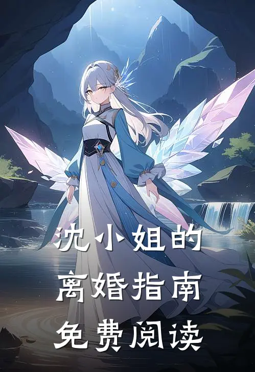 沈小姐的离婚指南免费阅读