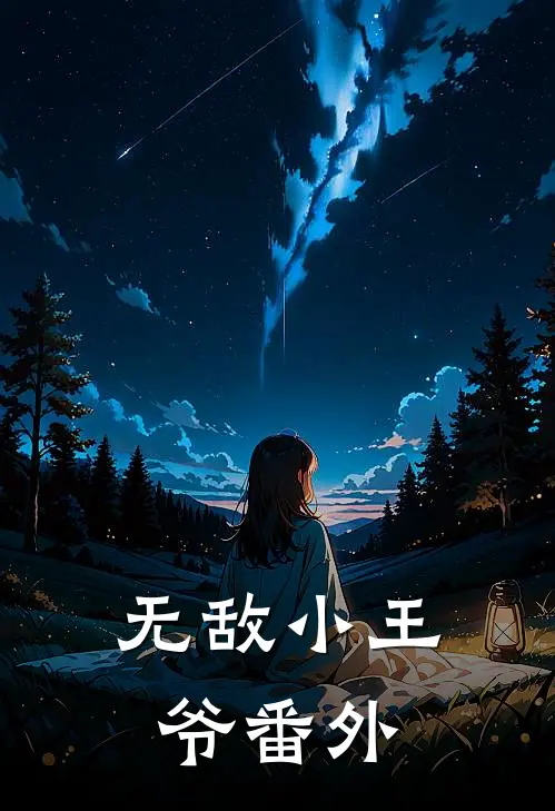 无敌小王爷番外