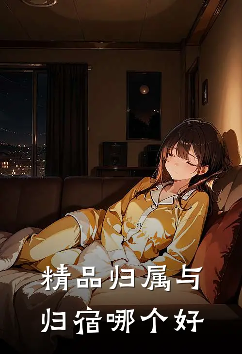 精品归属与归宿哪个好