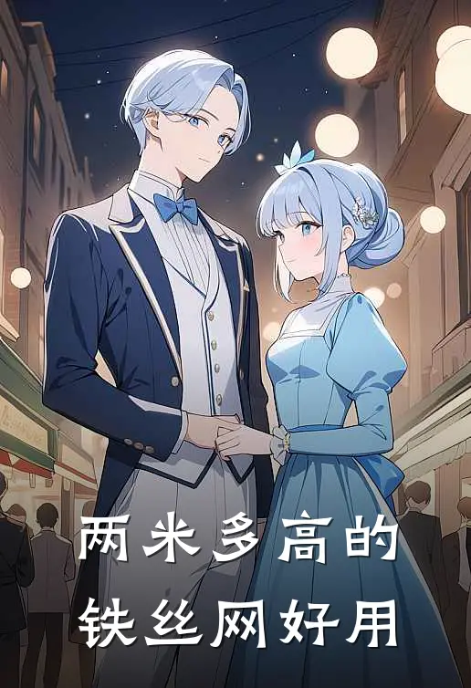 两米多高的铁丝网好用