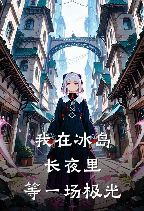 我在冰岛长夜里,等一场极光歌词