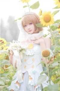 蔷薇花落秋风止小说在线阅读免费