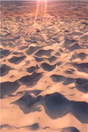 我的手段不高明，但能留你一辈子未删减版