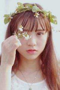 经一场大梦在线阅读