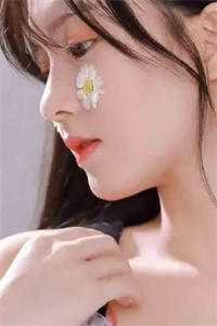 风止于拂晓前全文+番外