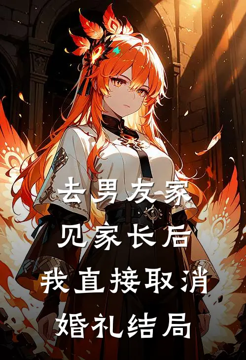 去男友家见家长后,我直接取消婚礼结局可以吗