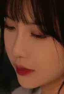 晚安，昨天全文+免费