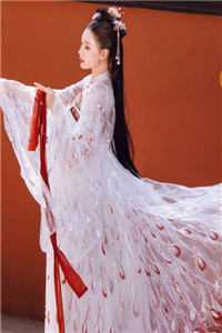 女神嫌我穷酸，我转身氪进美人圈全文免费阅读