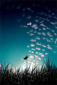 懒娇娘随军，糙汉军官夜夜想生崽小说在线阅读免费