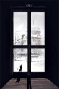 法官丈夫偏袒白月光，却在我死后得知惊人真相前文+后续