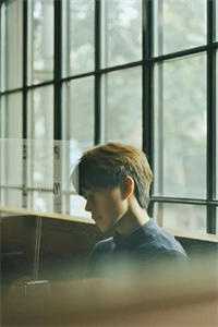 足球：开局满级传球，震惊全球全文+免费