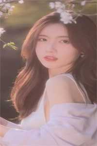 衰神附体的我在缅北学电诈后，园区老大自首了后续+番外