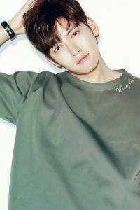 花零叶落两不见免费看