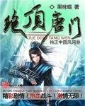 恰似鸣琴低吟小说