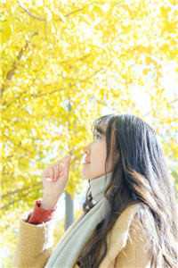 被扫地出门，奶娘入公府成人上人爆款热文