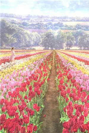 花零叶落两不见全文章节