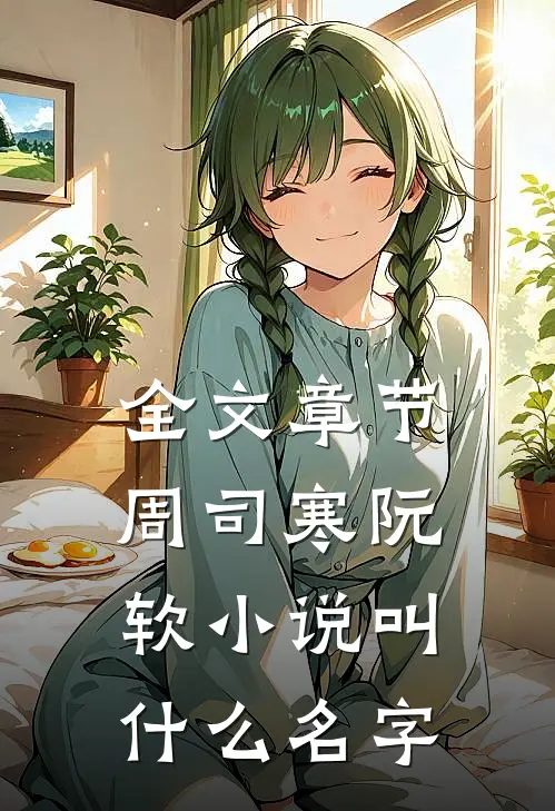 全文章节周司寒阮软小说叫什么名字