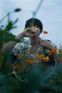 予风予月不予你免费阅读全文