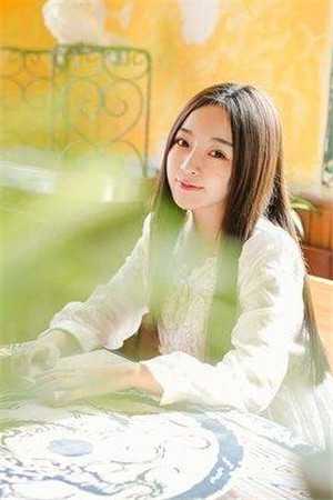 晚风渡我赴山河的小说