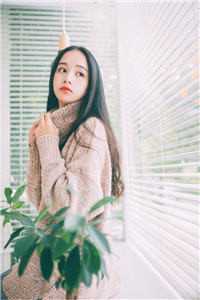 只愿浮生共清欢免费阅读