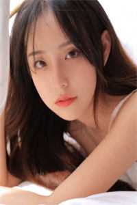 晚风渡我赴山河完结txt