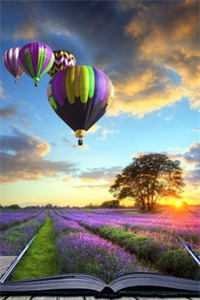 予风予月不予你后续+全文