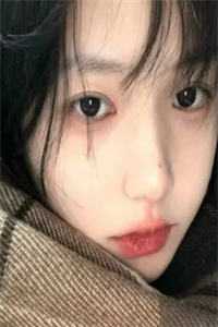 团宠画骨师：首辅大人求入赘全文免费