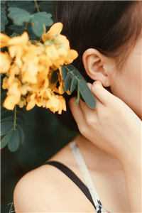 长冬如许，她寄朝朝畅销巨著