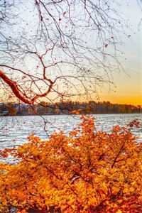 暮色千山藏旧梦免费看