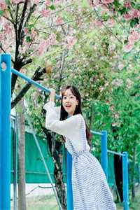 重生后，我偷换了我的大学录取通知书质量好文