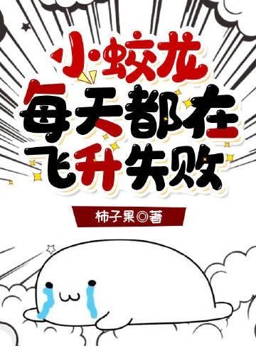 在夏日晚风相爱小说全文免费阅读