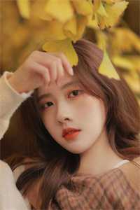 朝霞不渡晚来风目录