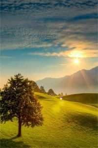 重活一世，我手撕兼祧两房的老公和绿茶嫂子未删节