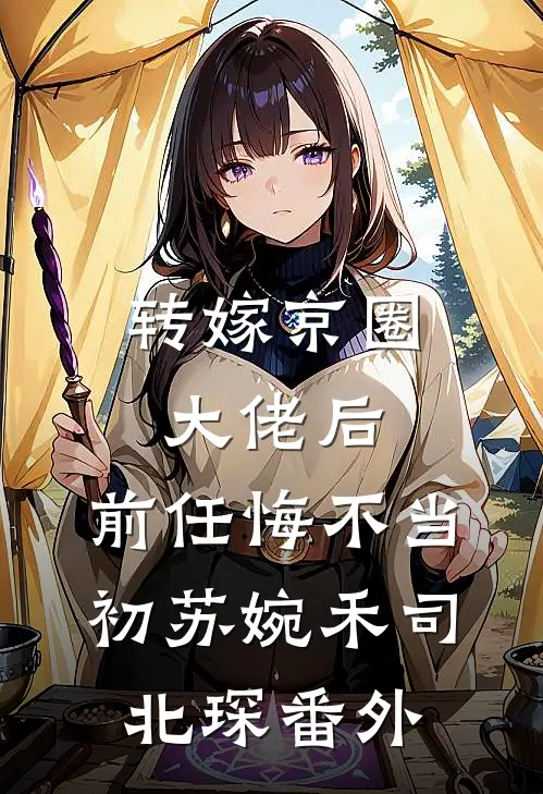 转嫁京圈大佬后，前任悔不当初苏婉禾司北琛番外