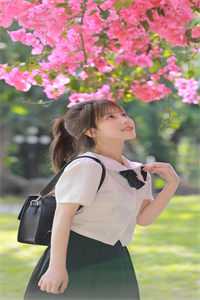 明月清如许，不曾照归人已完结版