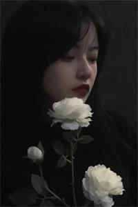 星光跌入他眼眸全球完整文集