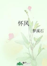 完整作品叶南烆盛暖名