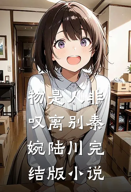 物是人非叹离别秦婉陆川完结版小说