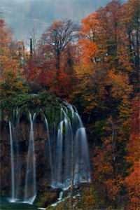 爱恨迟暮别恨秋热门小说