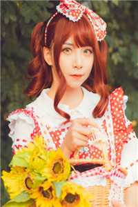 星光跌入他眼眸高口碑