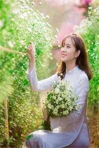 许你人间半阙春连载